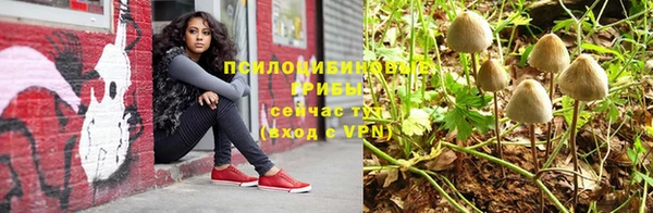 сатива Баксан
