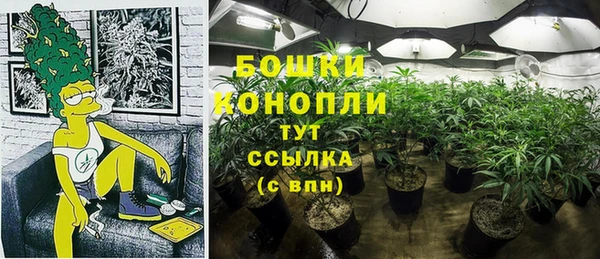 2c-b Балабаново